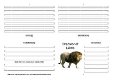 Löwe-Faltbuch-vierseitig-7.pdf